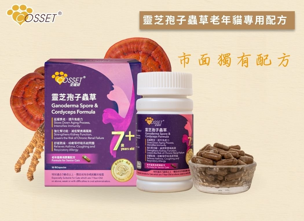 Cosset 愛寵健 愛寵健靈芝孢子蟲草老年貓專用配方 (30粒) - 幸福站