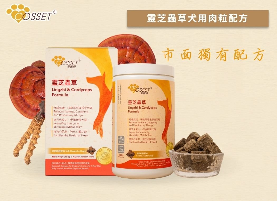 Cosset 愛寵健靈芝蟲草犬用肉粒配方 (滋味配方)