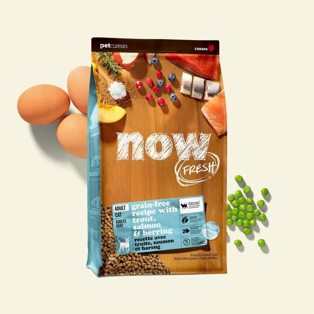 Now! Grain Free 成貓 無穀物魚肉配方 - 幸福站