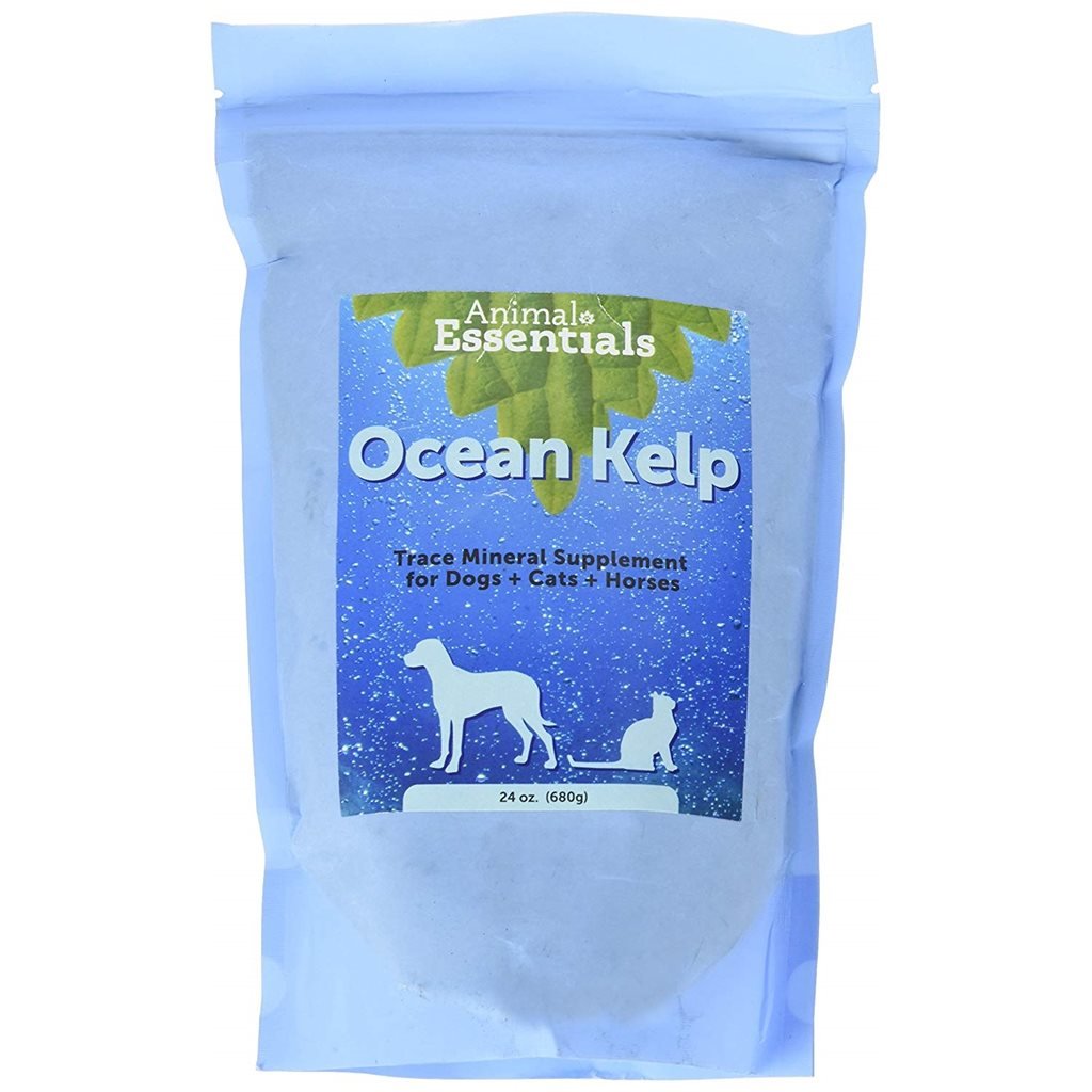 Animal Essentials - Organic Ocean Kelp 有機冰島海藻粉 - 幸福站