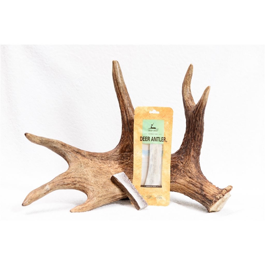 Dear Deer - Deer Antler Antlers 4"