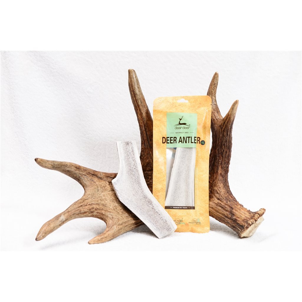 Dear Deer - Deer Antler (XL)