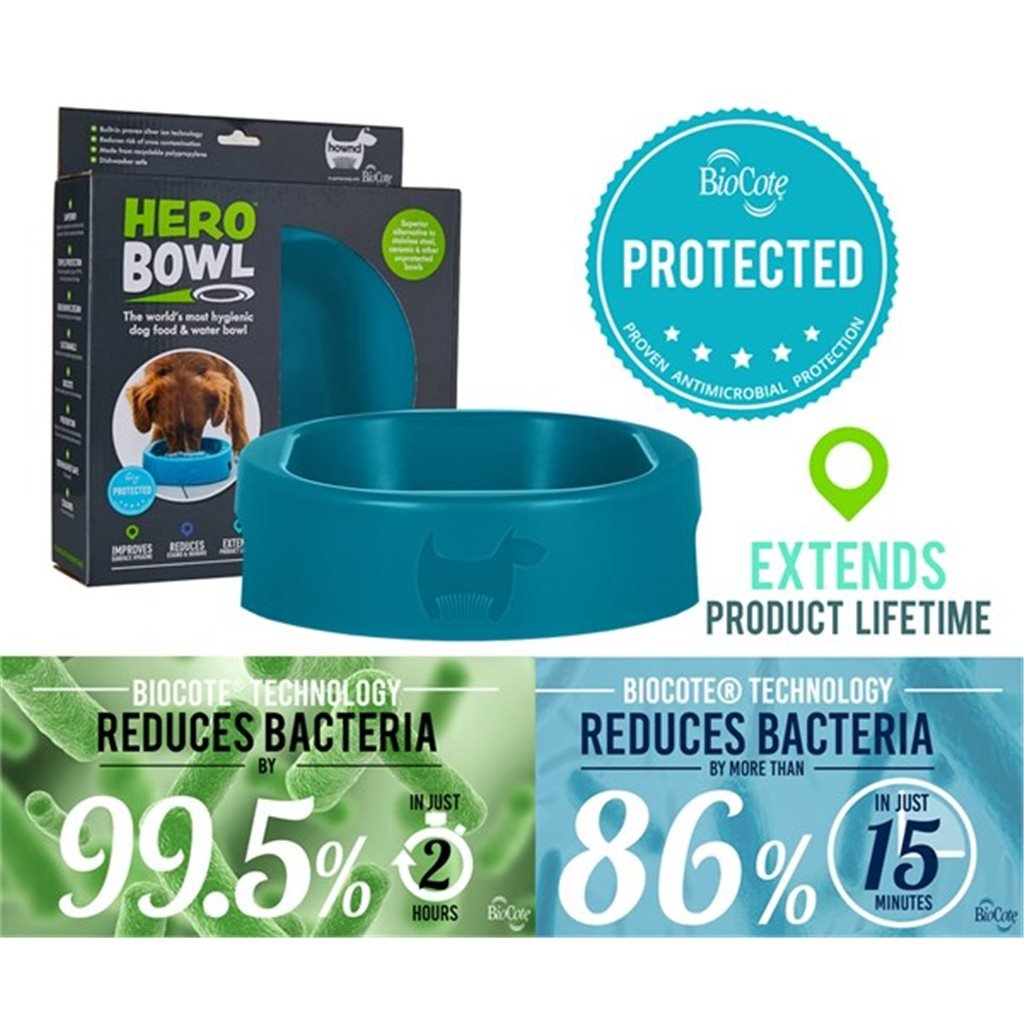 Hownd HERO Bowls Silver Ion Antibacterial Food Bowl (Large) Blue