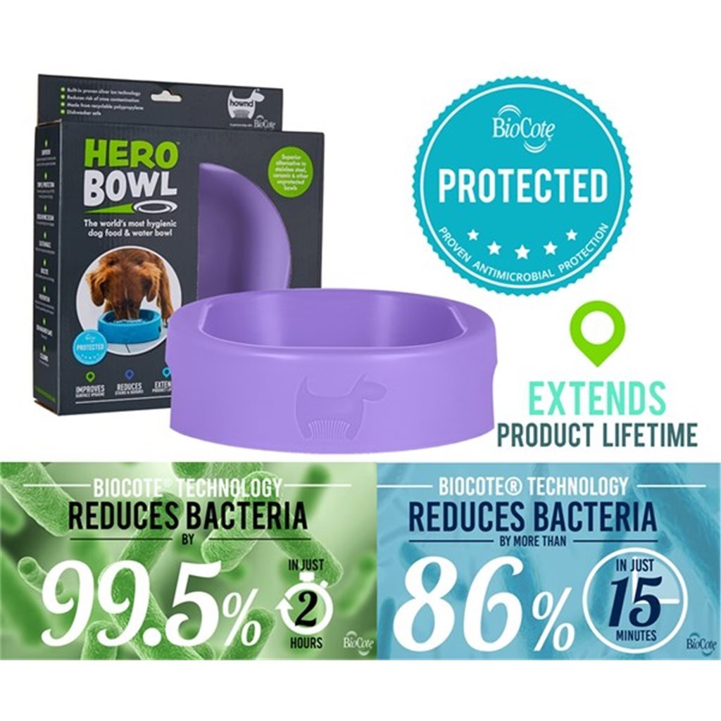 Hownd HERO Bowls Silver Ion Antibacterial Food Bowl (Large) Purple