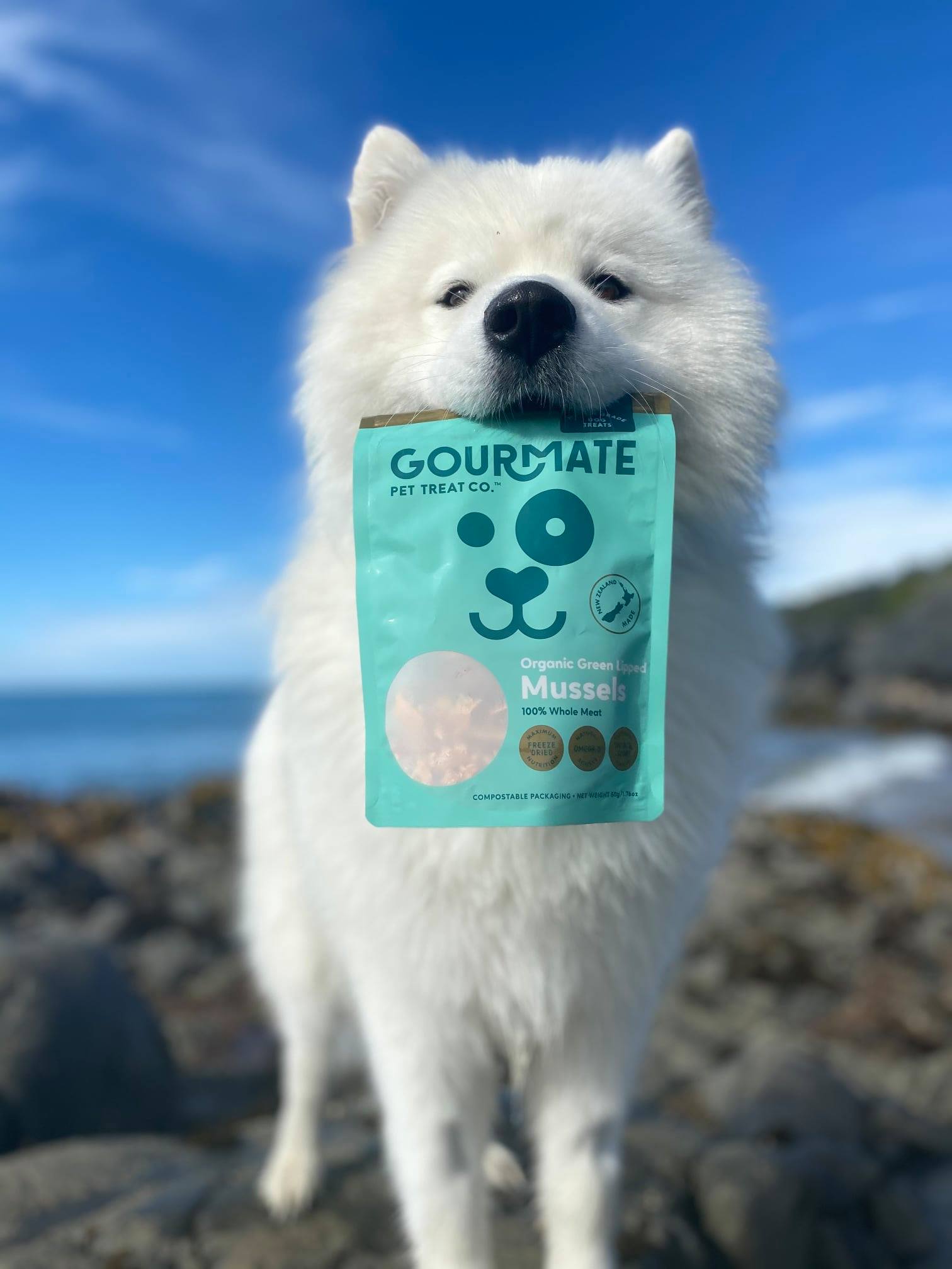 Gourmate 100% 紐西蘭斯圖爾特島有機綠唇胎貝50g (GMT01) - 幸福站
