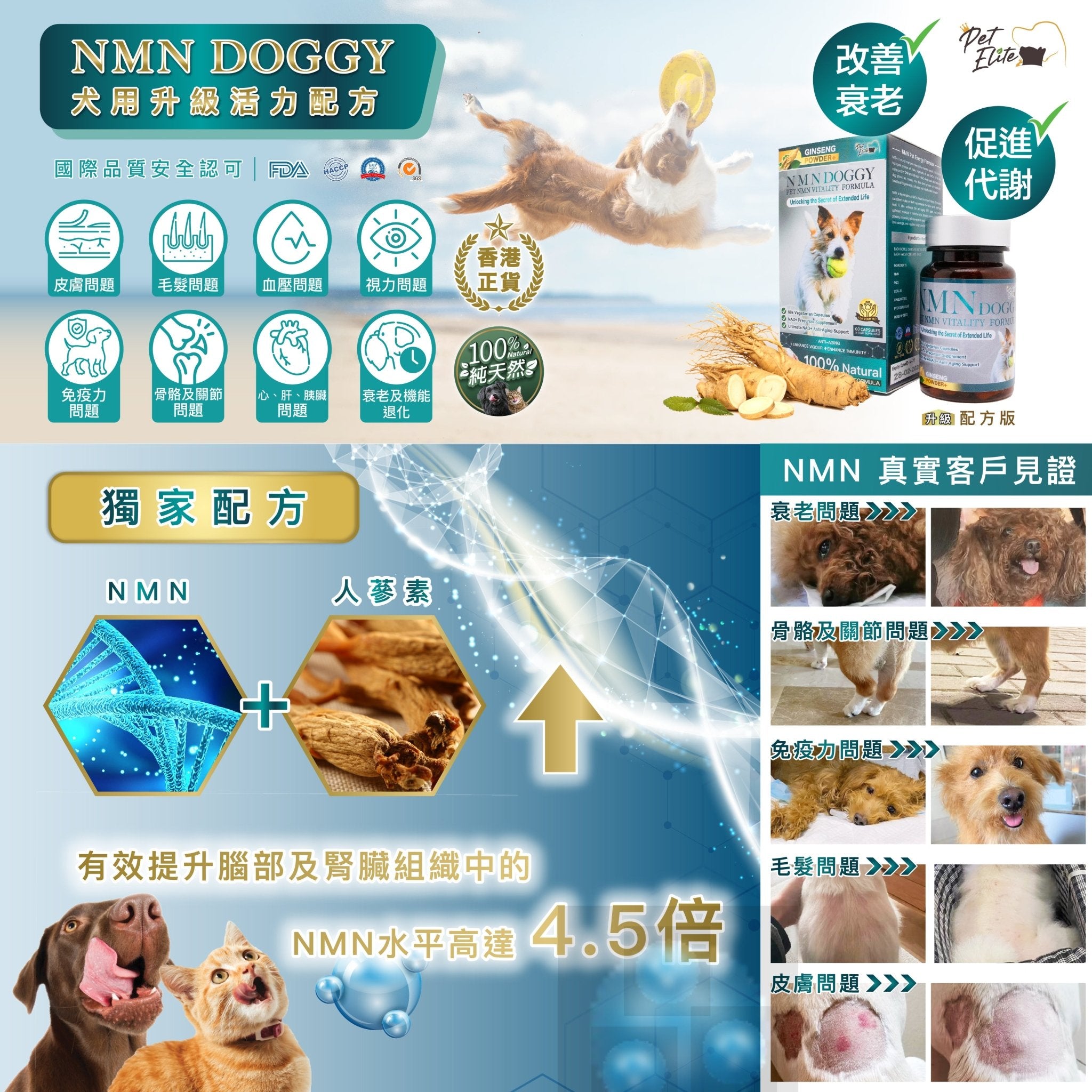 PetElite - NMN犬用升級活力配方60粒 - 幸福站