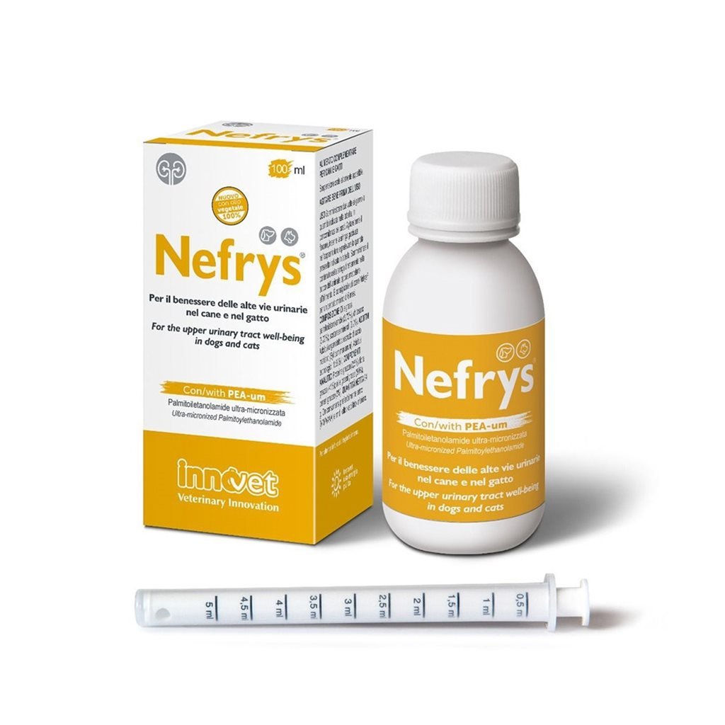 Innovet Nefrys Kidney Preservation and Strengthening Formula 100ml