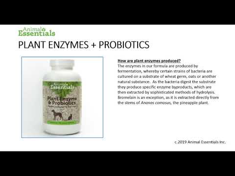 Animal Essentials - Plant Enzymes & Probiotics Plant digestive aids (digestive enzymes and probiotics)