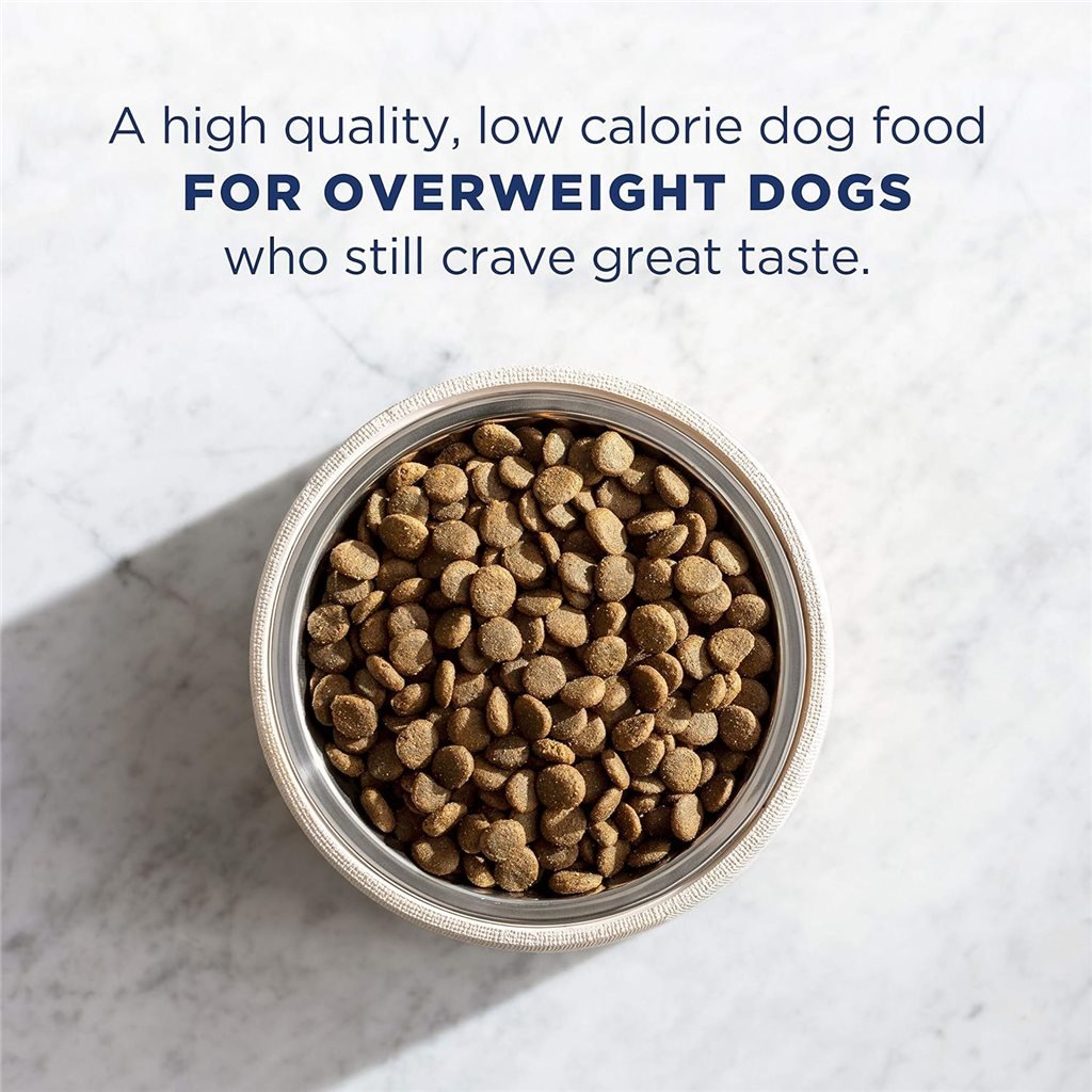 Natural Balance FAT Slimming Series - Slimming Dog Food 5lb (20075)