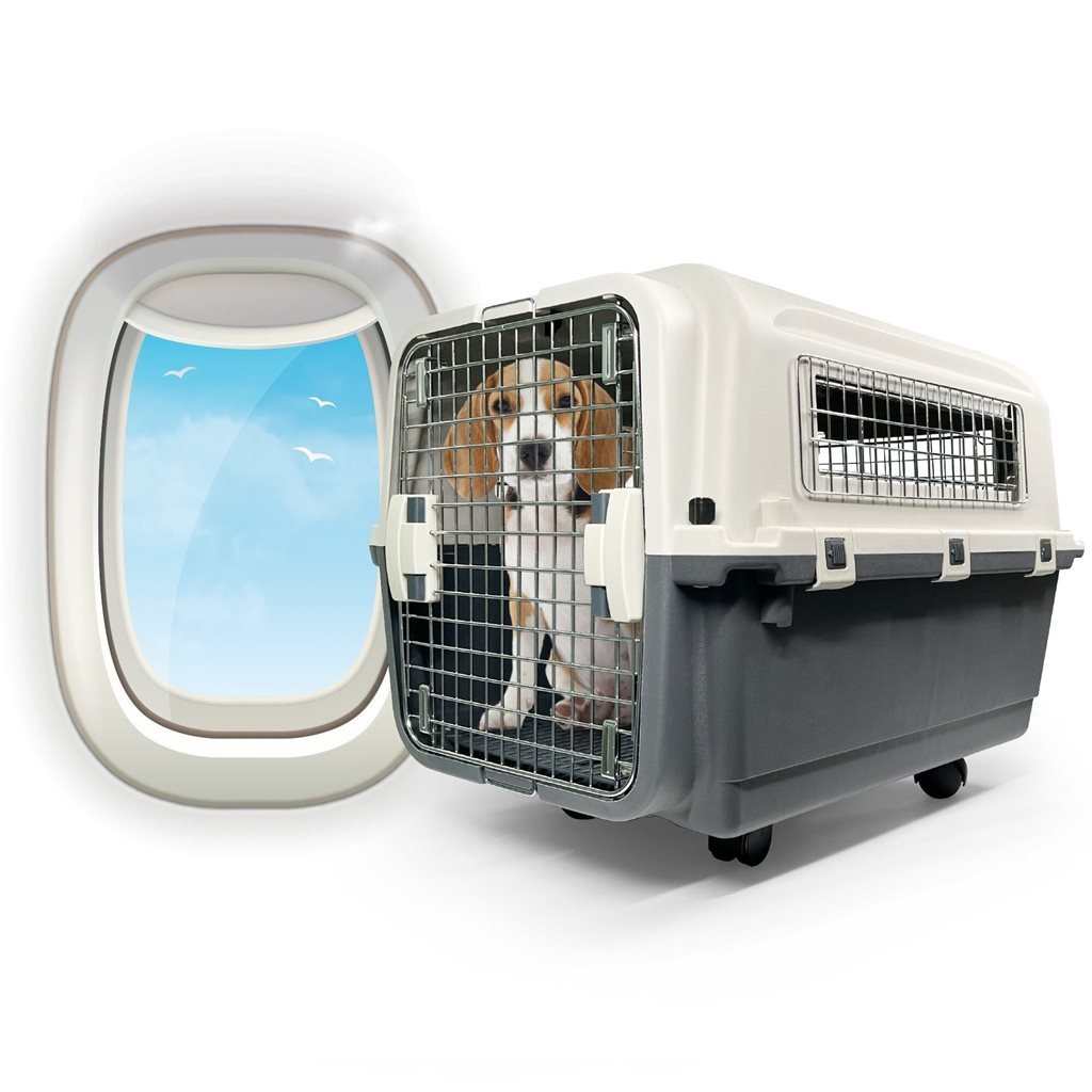 Animalkind IATA Pet Aircraft Cage **No Returns or Exchanges**