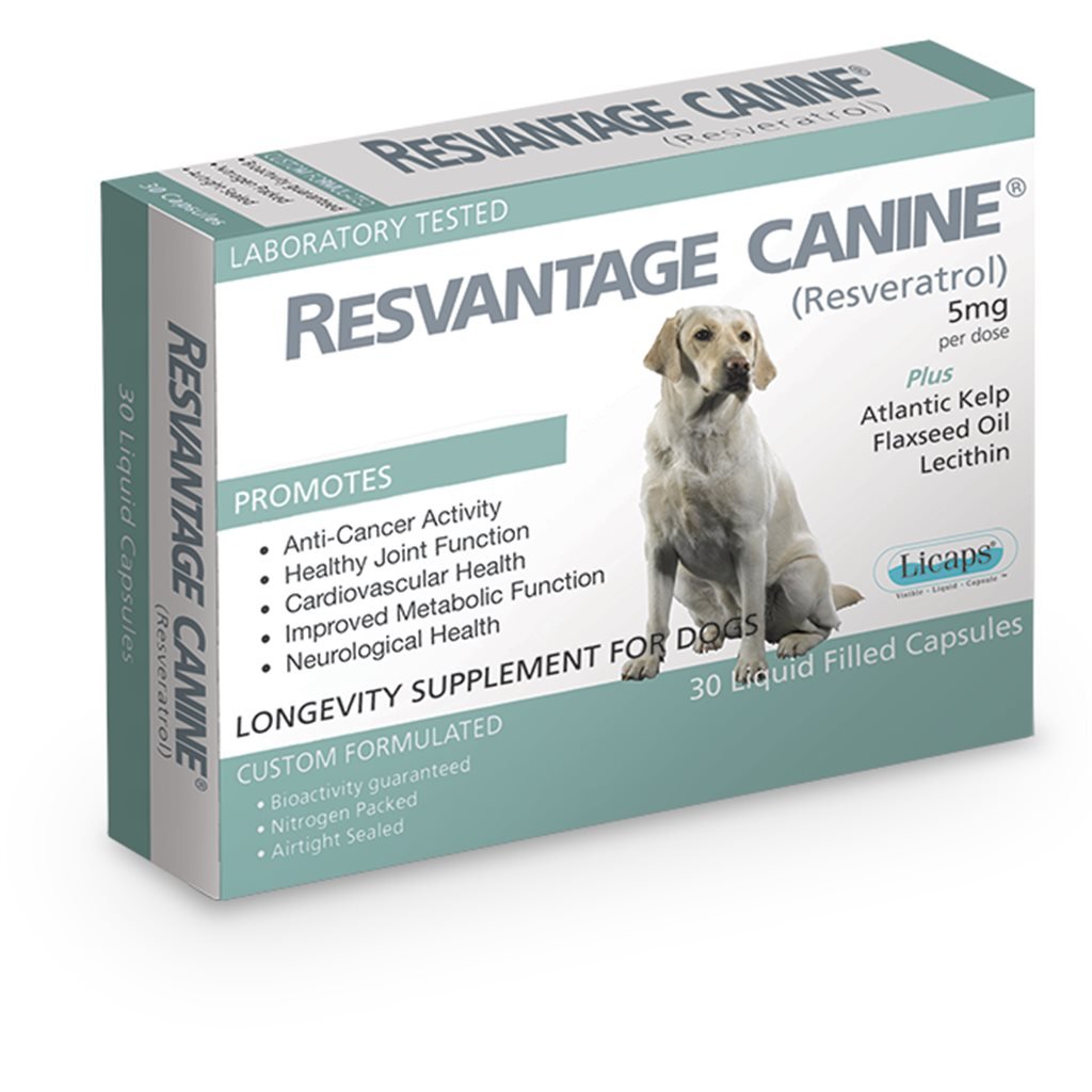 Resvantage® 白藜蘆醇犬用保健品 30粒 - 幸福站