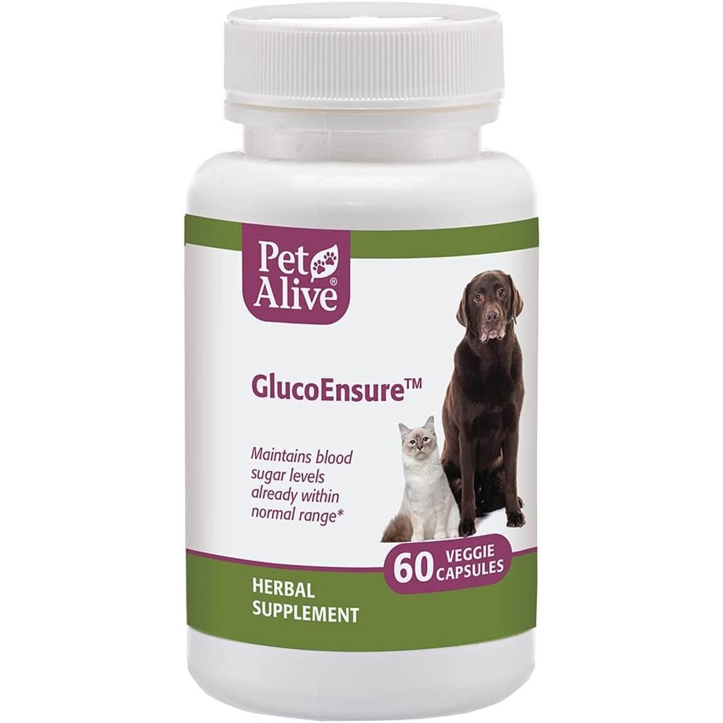 PetAlive - GlucoEnsure for Diabetes 60 Capsules